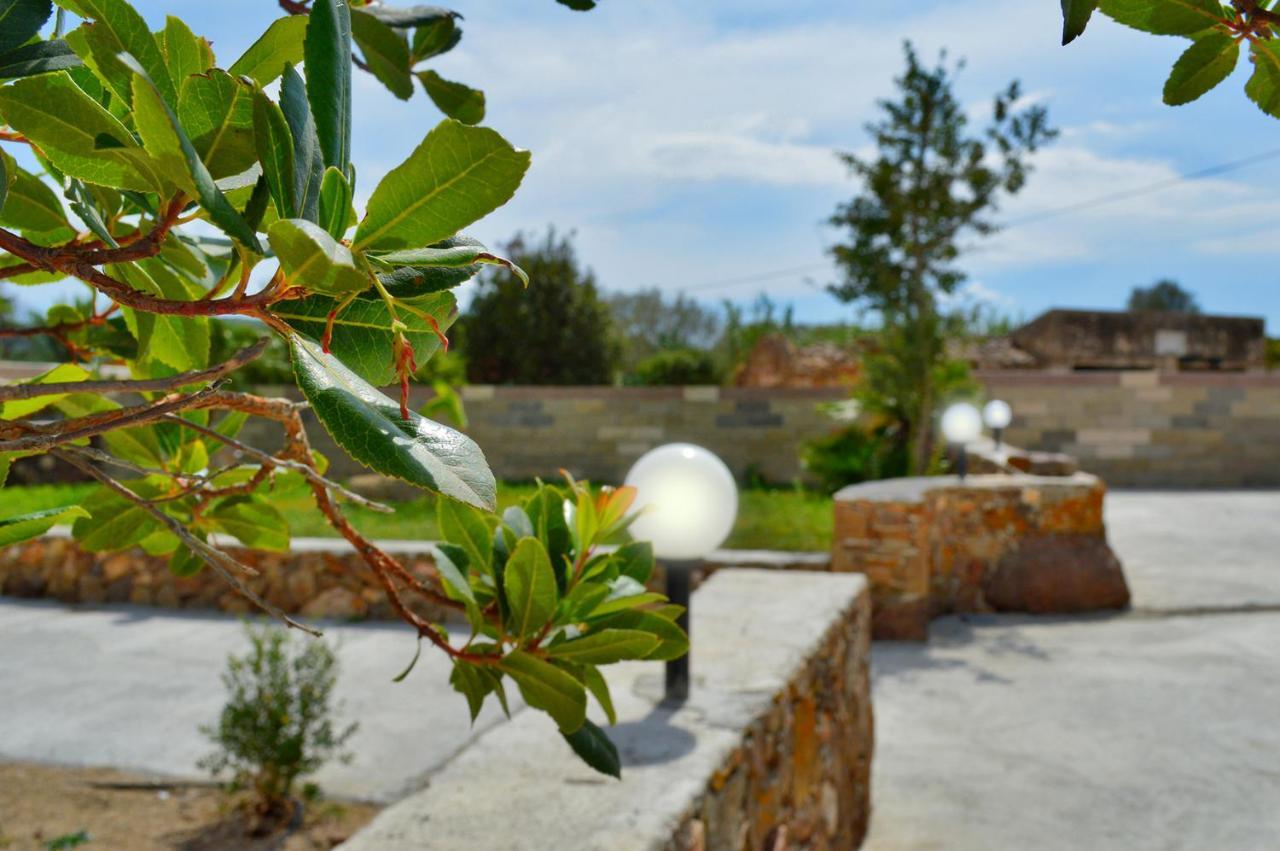 Il Sogno Di Una Stella Alghero Dış mekan fotoğraf